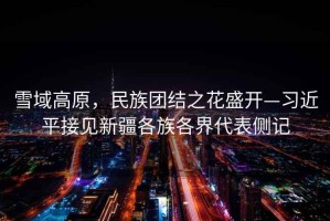 雪域高原，民族團結之花盛開—習近平接見新疆各族各界代表側記