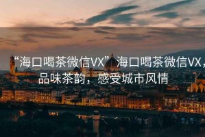 “海口喝茶微信VX”海口喝茶微信VX，品味茶韻，感受城市風情