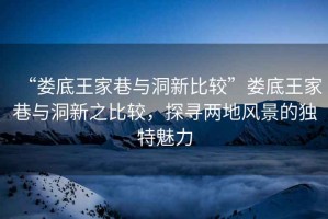 “婁底王家巷與洞新比較”婁底王家巷與洞新之比較，探尋兩地風景的獨特魅力