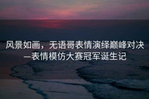 風(fēng)景如畫，無語哥表情演繹巔峰對決—表情模仿大賽冠軍誕生記