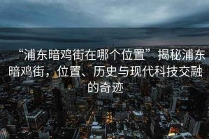 “浦東暗雞街在哪個位置”揭秘浦東暗雞街，位置、歷史與現代科技交融的奇跡
