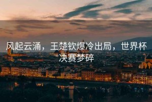 風起云涌，王楚欽爆冷出局，世界杯決賽夢碎