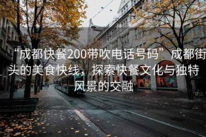 “成都快餐200帶吹電話號碼”成都街頭的美食快線，探索快餐文化與獨特風景的交融