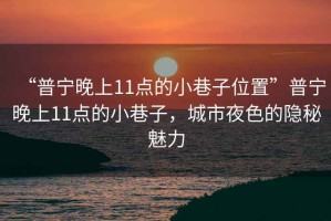 “普寧晚上11點的小巷子位置”普寧晚上11點的小巷子，城市夜色的隱秘魅力