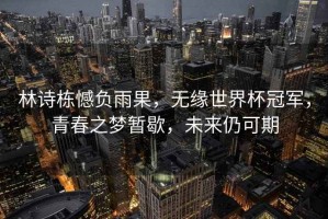 林詩棟憾負雨果，無緣世界杯冠軍，青春之夢暫歇，未來仍可期