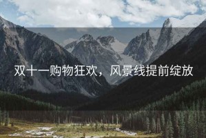 雙十一購物狂歡，風景線提前綻放