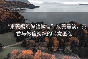 “東莞喝茶聯絡微信”東莞晨韻，茶香與微信交織的詩意畫卷
