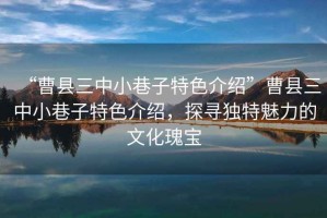 “曹縣三中小巷子特色介紹”曹縣三中小巷子特色介紹，探尋獨特魅力的文化瑰寶