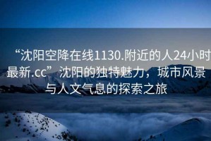 “沈陽空降在線1130.附近的人24小時最新.cc”沈陽的獨特魅力，城市風景與人文氣息的探索之旅