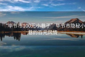 “畢節(jié)市100元小巷子”畢節(jié)市隱秘小巷的百元風情