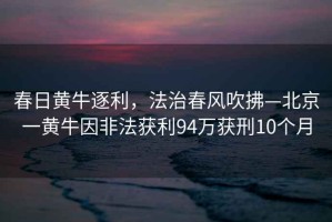春日黃牛逐利，法治春風吹拂—北京一黃牛因非法獲利94萬獲刑10個月