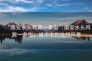 “南安水頭雞窩一條街”南安水頭雞窩一條街，城市中的獨(dú)特風(fēng)景