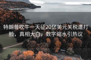 特朗普吹牛一天征20億美元關稅遭打臉，真相大白，數字縮水引熱議