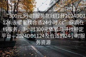 “300元3小時服務在線打開2024DD1124.去哪里找合適24小時.cc”探索在線服務，3小時300元體驗與尋找特定平臺—2024DD1124及合適的24小時服務資源