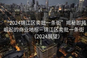 “2024錦江區賣批一條街”揭秘即將崛起的商業地標—錦江區賣批一條街（2024展望）