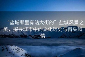 “鹽城哪里有站大街的”鹽城風景之美，探尋城市中的文化歷史與街頭風情
