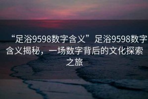 “足浴9598數(shù)字含義”足浴9598數(shù)字含義揭秘，一場(chǎng)數(shù)字背后的文化探索之旅