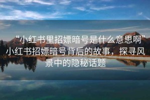 “小紅書里招嫖暗號是什么意思啊”小紅書招嫖暗號背后的故事，探尋風景中的隱秘話題