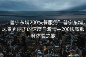“普寧東埔200快餐服務”普寧東埔，風景秀麗下的速度與激情—200快餐服務體驗之旅