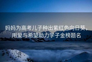 媽媽為高考兒子種出紫紅色向日葵，用愛與希望助力學(xué)子金榜題名