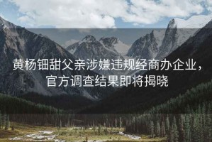 黃楊鈿甜父親涉嫌違規經商辦企業，官方調查結果即將揭曉