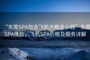 “東莞SPA包含飛機大概多少錢”東莞SPA體驗，飛機SPA價格及服務詳解
