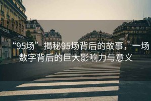 “95場”揭秘95場背后的故事，一場數字背后的巨大影響力與意義