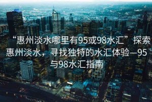 “惠州淡水哪里有95或98水匯”探索惠州淡水，尋找獨特的水匯體驗—95與98水匯指南