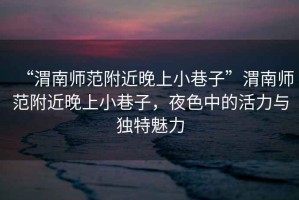 “渭南師范附近晚上小巷子”渭南師范附近晚上小巷子，夜色中的活力與獨特魅力