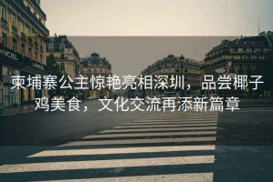 柬埔寨公主驚艷亮相深圳，品嘗椰子雞美食，文化交流再添新篇章