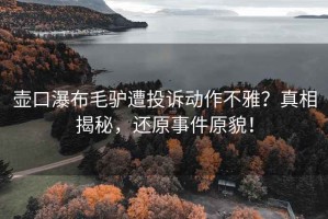 壺口瀑布毛驢遭投訴動作不雅？真相揭秘，還原事件原貌！