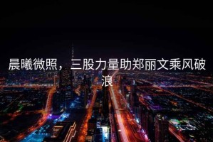 晨曦微照，三股力量助鄭麗文乘風破浪