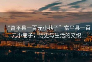 “富平縣一百元小巷子”富平縣一百元小巷子，歷史與生活的交織