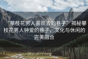 “攀枝花男人喜歡去的巷子”揭秘攀枝花男人鐘愛的巷子，文化與休閑的完美融合