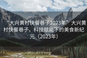 “大興黃村快餐巷子2023年”大興黃村快餐巷子，科技賦能下的美食新紀元（2023年）