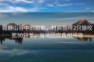 寂靜山谷中的狼影，村民驚呼2只狼咬死30只羊，當(dāng)?shù)鼗貞?yīng)真相揭曉