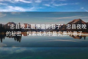 “忠縣晚上最便宜的巷子”忠縣夜晚的秘密，探索城市中最實惠的巷子