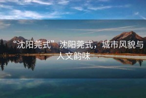 “沈陽莞式”沈陽莞式，城市風貌與人文韻味