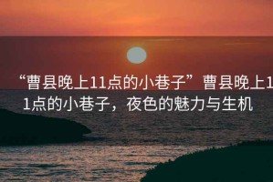 “曹縣晚上11點的小巷子”曹縣晚上11點的小巷子，夜色的魅力與生機