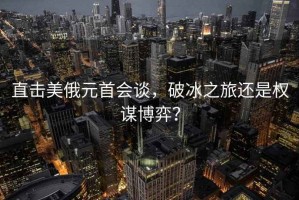 直擊美俄元首會談，破冰之旅還是權謀博弈？