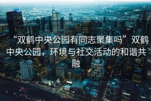 “雙鶴中央公園有同志聚集嗎”雙鶴中央公園，環境與社交活動的和諧共融