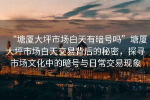 “塘廈大坪市場白天有暗號嗎”塘廈大坪市場白天交易背后的秘密，探尋市場文化中的暗號與日常交易現(xiàn)象