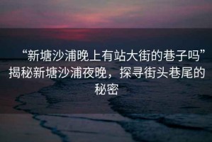 “新塘沙浦晚上有站大街的巷子嗎”揭秘新塘沙浦夜晚，探尋街頭巷尾的秘密