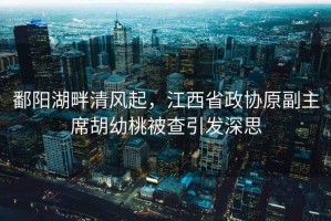 鄱陽湖畔清風起，江西省政協原副主席胡幼桃被查引發深思