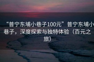 “普寧東埔小巷子100元”普寧東埔小巷子，深度探索與獨(dú)特體驗(yàn)（百元之旅）