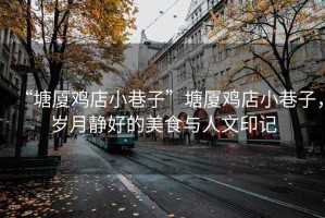 “塘廈雞店小巷子”塘廈雞店小巷子，歲月靜好的美食與人文印記