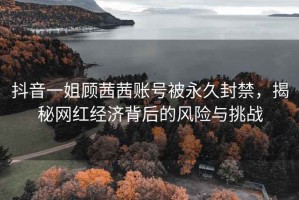 抖音一姐顧茜茜賬號被永久封禁，揭秘網紅經濟背后的風險與挑戰