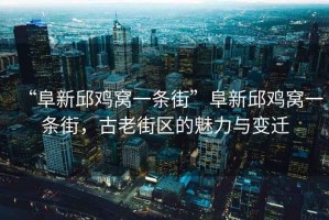 “阜新邱雞窩一條街”阜新邱雞窩一條街，古老街區的魅力與變遷