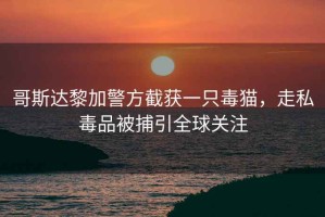 哥斯達黎加警方截獲一只毒貓，走私毒品被捕引全球關注