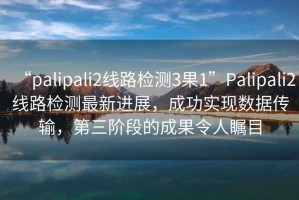 “palipali2線路檢測3果1”Palipali2線路檢測最新進展，成功實現數據傳輸，第三階段的成果令人矚目